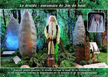 Exposition La Forêt Enchantée (21) Druide